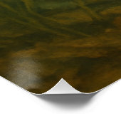 Bluegill Poster (Hoek)