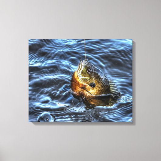 Bluegill Sunfish Fisherman's Outdoorsport Art Canvas Afdruk (Voorkant)