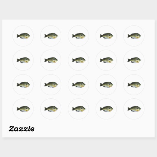 Bluegill Sunfish Foto Ronde Sticker (Vel)