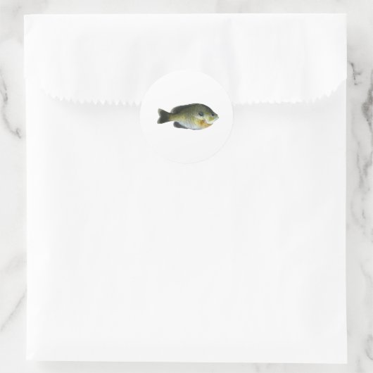 Bluegill Sunfish Foto Ronde Sticker (Tas)