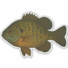 Bluegill-uitknipsticker Sticker