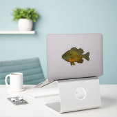 Bluegill-uitknipsticker Sticker (Laptop op bureau)