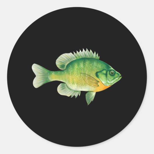 Bluegill Vis Bream Zoetwater Ronde Sticker (Voorkant)