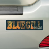 Bluegill Vist Bumpersticker (Op auto)