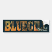 Bluegill Vist Bumpersticker (Voorkant)