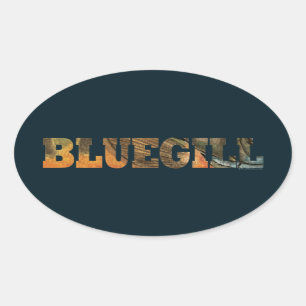 Bluegill Vist Ovale Sticker