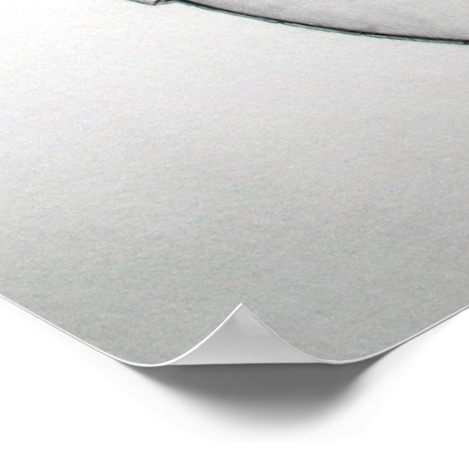 Bluegrass Banjo Poster (Hoek)