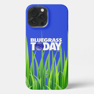 Bluegrass Vandaag Logo Grass iPhone Case iPhone 13 Pro Max Hoesje