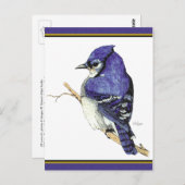 Bluejay 2 Briefkaart (Voorkant / Achterkant)