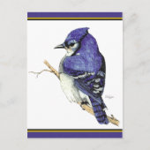 Bluejay 2 Briefkaart (Voorkant)