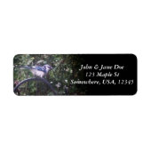 BlueJay 2 Etiket (Voorkant)