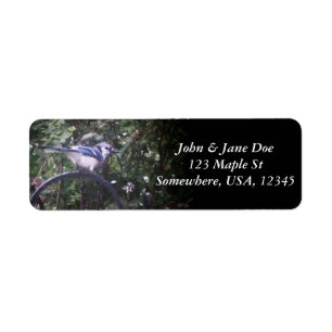 BlueJay 2 Etiket