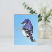 Bluejay 3 Briefkaart (Staand voorkant)