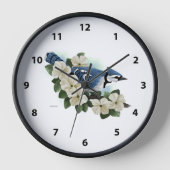 Bluejay Bird (Voorkant)