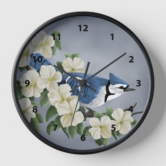 Bluejay Bird (Voorkant)