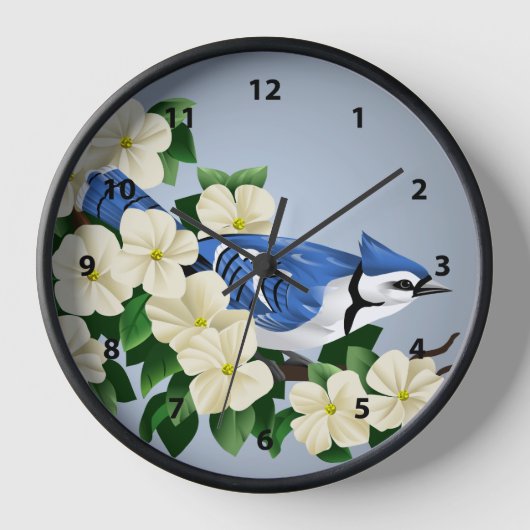 Bluejay Bird (Voorkant)