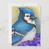 Bluejay Bird Bedankt Blauwe Jay Vriendschap (Voorkant)