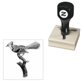 BlueJay Bird op een tak  Illustratie Rubberstempel