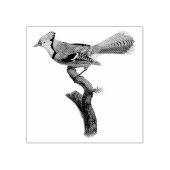 BlueJay Bird op een tak Illustratie Rubberstempel (Afrduk)