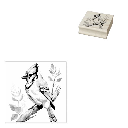 Bluejay Bird Rubber Stamp Rubberstempel (Gestempeld)
