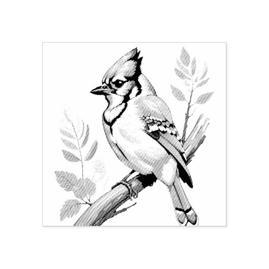 Bluejay Bird Rubber Stamp Rubberstempel (Afrduk)