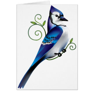 Bluejay Day