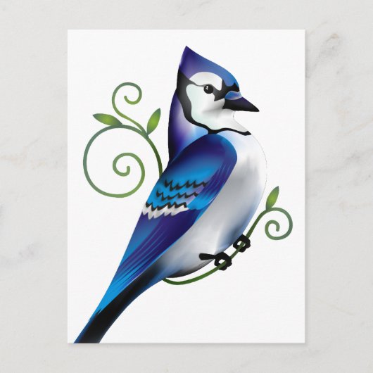 Bluejay Day Briefkaart (Voorkant)