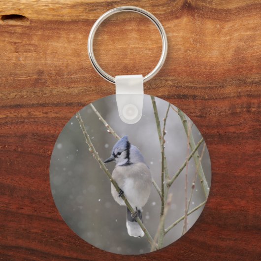 Bluejay in de sneeuwsleutelhanger sleutelhanger (Voorkant)