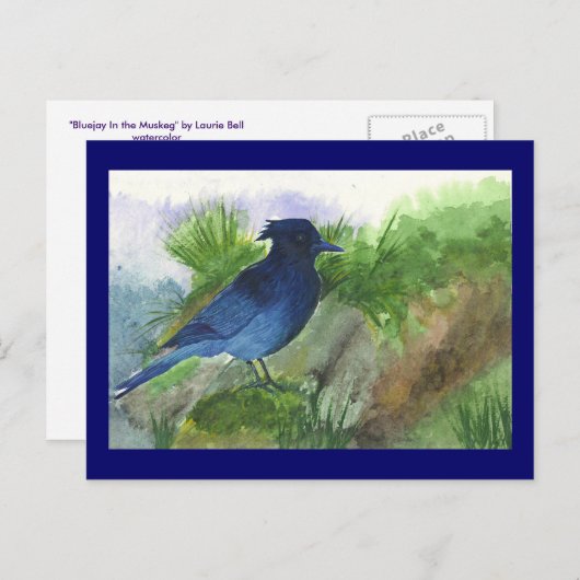 Bluejay in Muskeg Briefkaart (Voorkant / Achterkant)