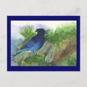 Bluejay in Muskeg Briefkaart (Voorkant)