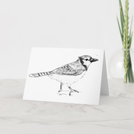 Bluejay Kaart
