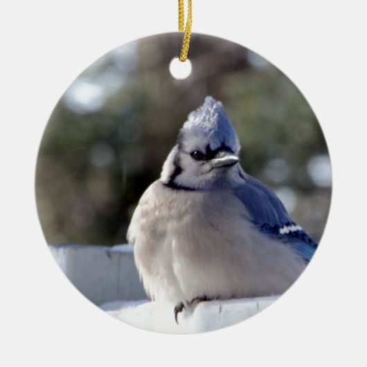 Bluejay Keramisch Ornament (Voorkant)