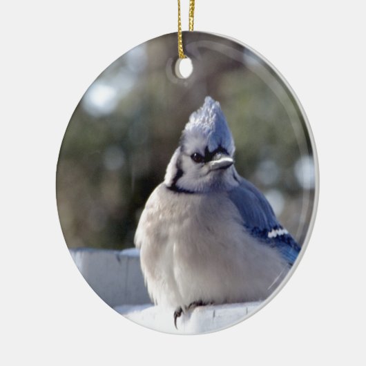 Bluejay Keramisch Ornament (Links)