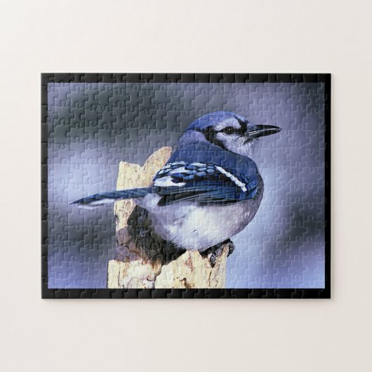 BlueJay Legpuzzel (Horizontaal)