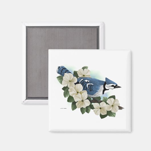 Bluejay Magneet (Voorkant / Achterkant)
