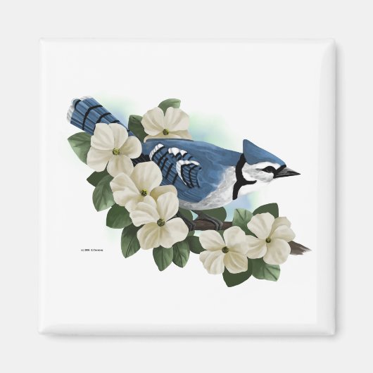 Bluejay Magneet (Voorkant)