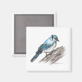 Bluejay Magneet (Voorkant / Achterkant)