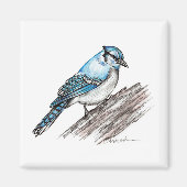 Bluejay Magneet (Voorkant)