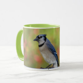  BlueJay Mok - Achtertuin Vogels