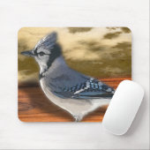 BLUEJAY MUISMAT (Met muis)
