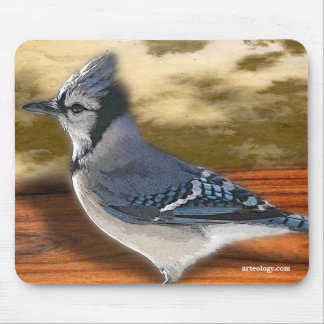 BLUEJAY MUISMAT