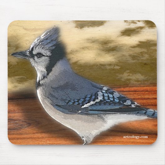 BLUEJAY MUISMAT (Voorkant)