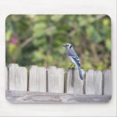 Bluejay op het hek muismat (Voorkant)