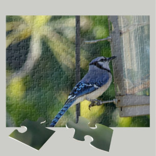 Bluejay Perched op Birdfeeder Legpuzzel