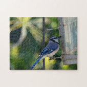 Bluejay Perched op Birdfeeder Legpuzzel (Horizontaal)