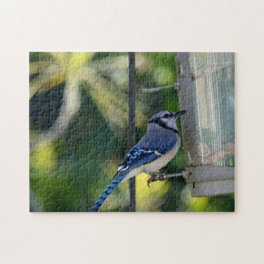 Bluejay Perched op Birdfeeder Legpuzzel (Horizontaal)