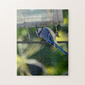 Bluejay Perched op Birdfeeder Legpuzzel (Verticaal)