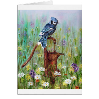 Bluejay: vreedzame Perch