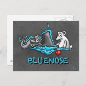 Bluenose Phins briefkaart (Voorkant / Achterkant)