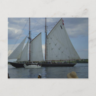 Bluenose Schooner Tall-Ship Racing Briefkaart